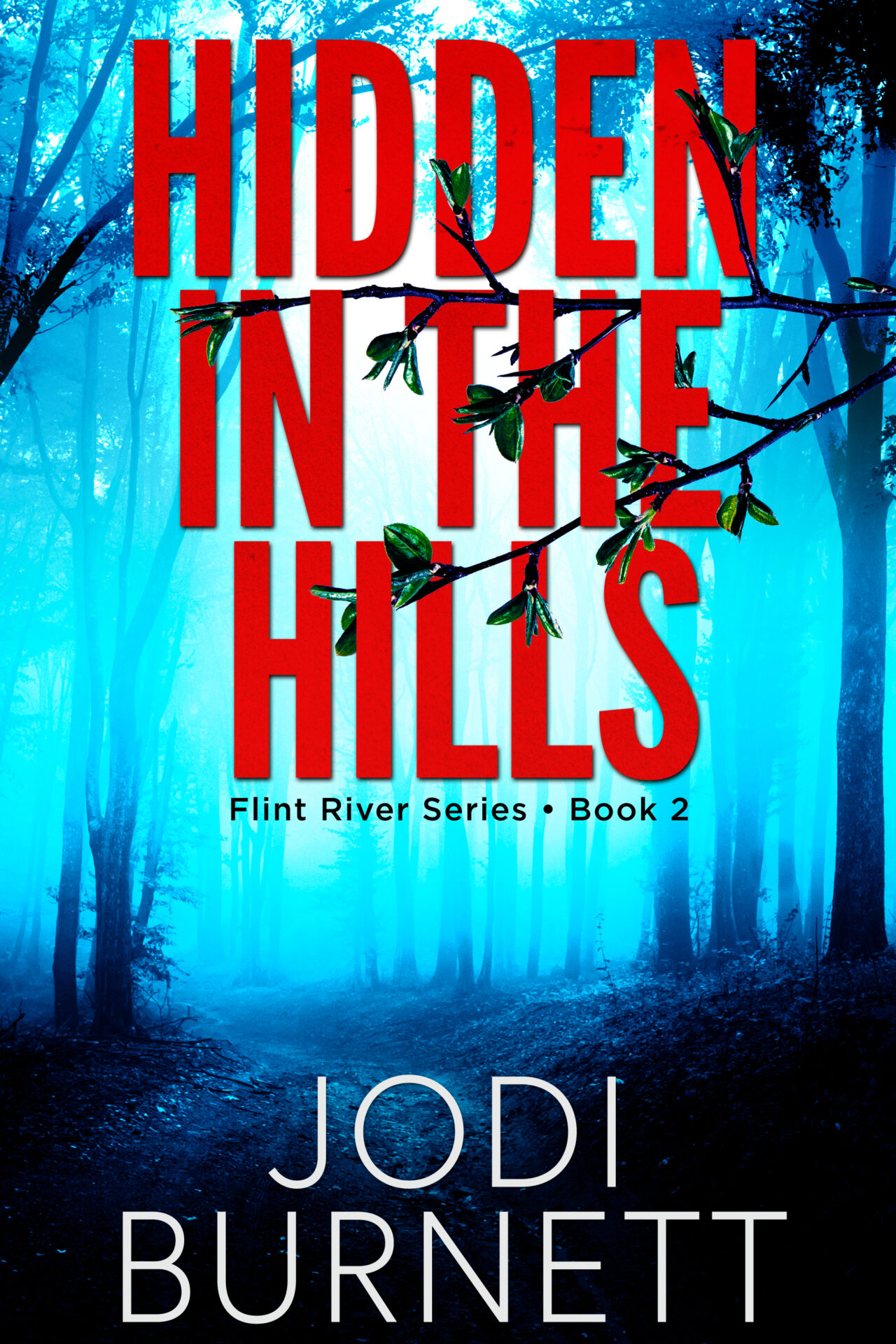 Hidden in the Hills cover