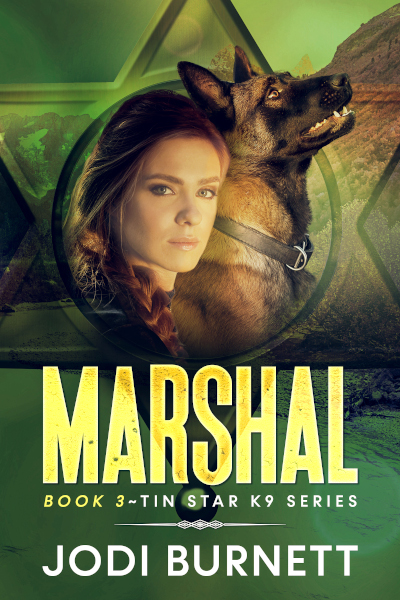 Marshal Tin Star Series book 3 cover