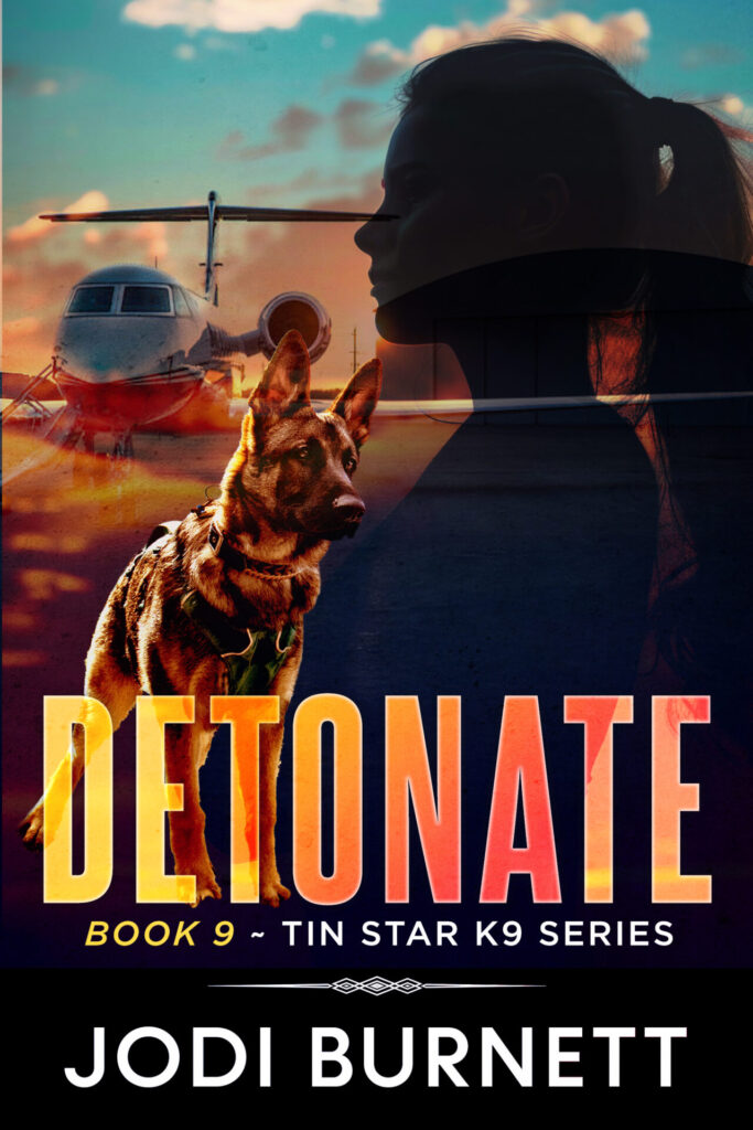DETONATE book cover